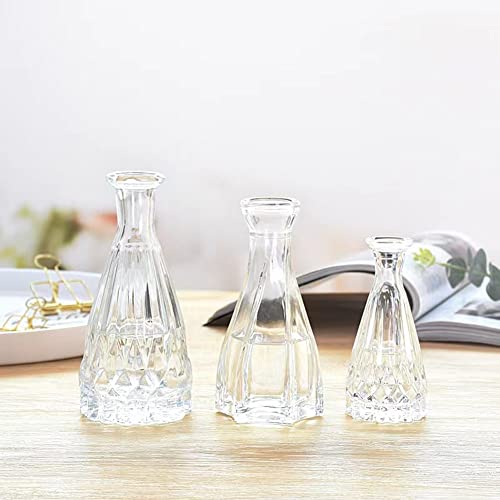 Set of 3 Mini Clear Glass Vase,Small Flower Bud Vase Hydroponics Planter Decorative for Flower,Table,Party,Home,Centerpieces(Clear 5) - color: Clear 5