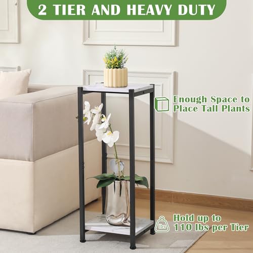 Dipion Tall Plant Stand Indoor,31 Inch Plant Stands,2 Tier Metal Plant Stand with Heavy Duty Wood,Marble White and Black