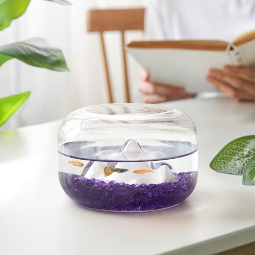 T4U Fish Tank Gravel 2 LB, Tumbled Small Rocks for Aquarium, Glass Beads for Vases, Succulent Rocks for Plants, Aquarium Gravel Decorative Pebbles for Terrarium Crafts Vase Filler, Purple - color: Purple, size: 2 LB