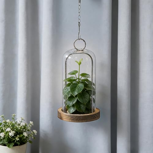 12" High Versatile Rustic Brown Metal Candle Holder with Handmade Sturdy Glass Dome and Shabby Brown Wooden Base for Pillar Candle & Plants, Industrial, Farmhouse, Decorative Display Cloche Bell Jars - color: Brown, size: 6"x12"