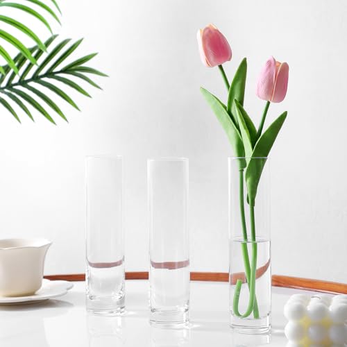 Clear Glass Cylinder Bud Vases,Small Clear Skinny Single Flower Vase for Centerpieces - Minimalist Bulk Vases for Wedding Birthday Bridal Shower Party Events Table Decor (6)