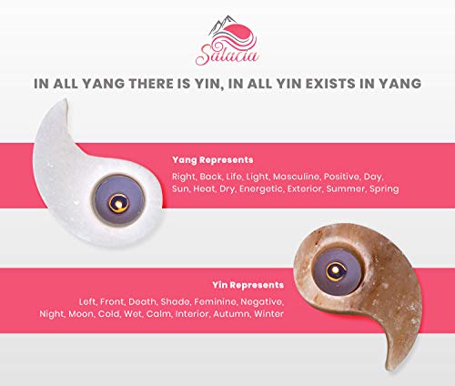Salacia All Natural Himalayan Salt Rock Pink and White Yin Yang Tea Light Votive Candle Holder Set, Himalayan Salt Yin-Yang Tealight Candle Holder, Home Decor Candle Set