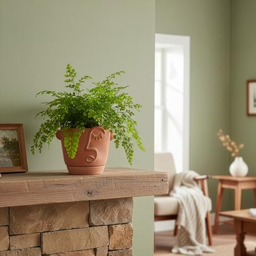 HERDUK 6 Inch Terracotta Abstract Face Planter with Drainage & Saucer – Artistic Ceramic Flower Pot for Indoor Plants, Boho Home Decor, Unique Gift for Plant & Art Lovers - size: 6 Inch