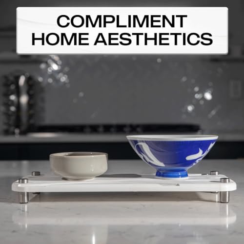 2-Piece Water Absorbing Stone Tray Set – Fast-Dry Diatomite Soap Trays for Bathroom & Kitchen Sink, Silver Finish - color: Silver