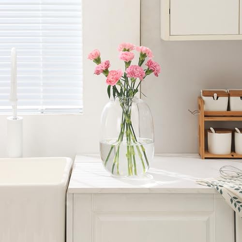 Large Glass Vase, 10 Inches Tall Glass Vases, Clear Glass Vase for Flower, Modern Round Vases for Living Room, Dining Table, Mantle, Shelf, Wedding, Office, Entryway - color: Clear