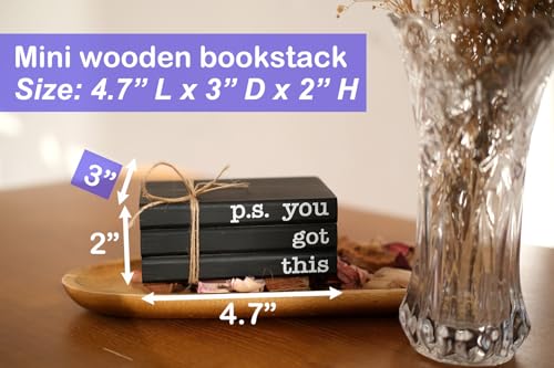 Cute Office Desk Decor, Inspirational Wooden Mini Faux Books for Decoration, Gifts for Women Kids - P.S. You Got This Sign, Black - color: Black You Got This
