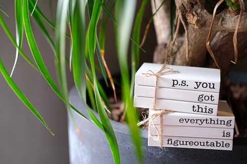 Cute Office Desk Decor, Inspirational Wooden Mini Faux Books for Decoration, Gifts for Women Kids - P.S. You Got This Sign - color: You Got This