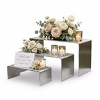 Display Stand Risers, Stainless Steel Display Shelf for Showcase, Dessert, Toys, Perfume (Brushed Nickel) - color: Brushed Nickel