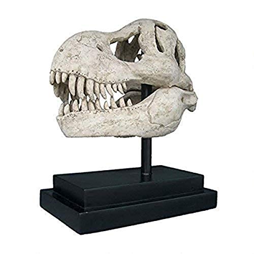 Design Toscano T-Rex Dinosaur Skull Fossil Statue on Museum Mount - style: T-Rex Dinosaur Skull