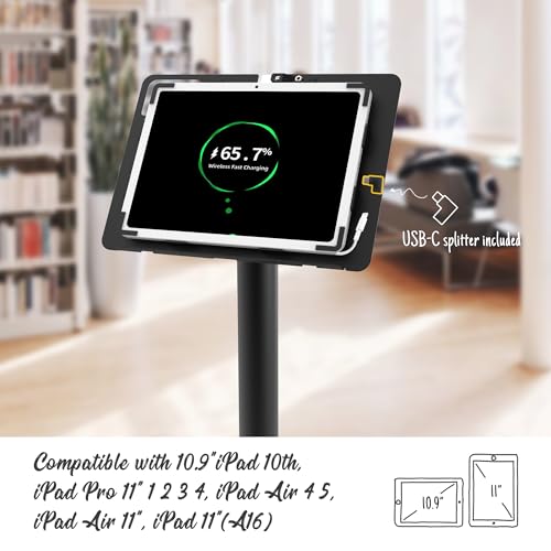 Tablet Kiosk Floor Stand, Anti-Theft, Rotate Lockable Metal Tablet Enclosure+Aluminum Pole+Metal Base, Compatible with 10.9" iPad 10th, Pro 11" 1 2 3 4, Air 4 5, Air 11"(M2/M3), iPad 11"(A16) - color: Black, size: iPad 10th (10.9"), iPad Pro (11")