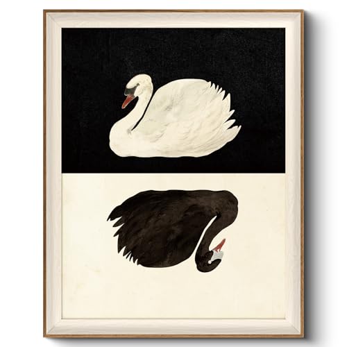 VIYYIEA Framed Wall Art for Living Room, Swan Canvas Prints, Vintage Home Decor, Animals Painting Picture, Bathroom Wall Decor Gifts for Friends or Family - 20L x 16W - color: Animals-【Black and White】, size: 20"L x 16"W