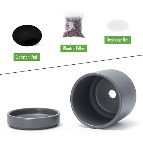 D'vine Dev Set of 4 Small Ceramic Plant Pots, 4.7 Inch Succulent Planter Pot for Plants with Drainage Hole and Saucer, Grey, 94-X-B-3 - color: Gray, size: 4.7 Inch