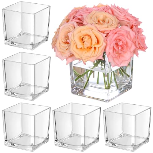 KEYWING 6 Pack Square Glass Vase 5" x 5" x 5", Clear Flower Vases for Centerpieces, Square Flower Vase Candle Holder for Wedding, Party, Home Office Decoration - size: 5 Inch
