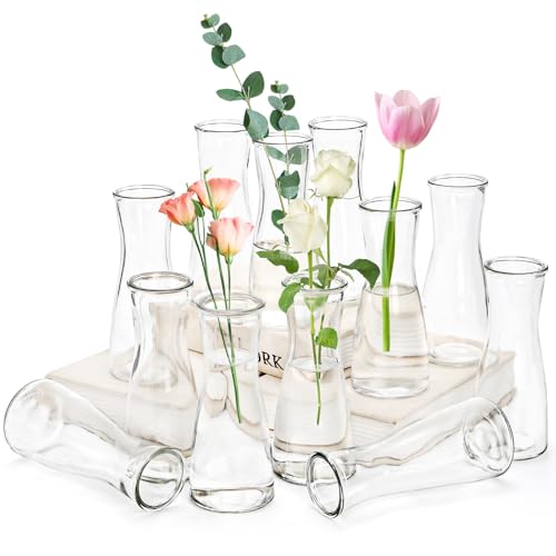 Set of 12 Glass Bud Vases, Clear Small Flower Vases for Centerpieces, 6 Oz Decorative Vase for Wedding, Birthday, Events, Dining Room