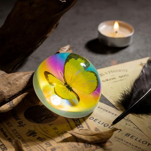 Real Butterfly Specimen in Iridescent Dome Resin - Random Seasonal Butterfly for Science Education, Biology Study, Oddities Collectors, and Nature Enthusiasts (2.5 x 1.3 Inches) - color: Butterfly Specimen (2.5" X 1.3")