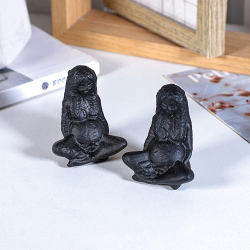 Nupuyai Hand Carved Mother Earth Statue for Home Decor, Natural Black Obsidian Crystal Figurine Stone Sculpture Decoration for Fengshui - style: Mother Earth