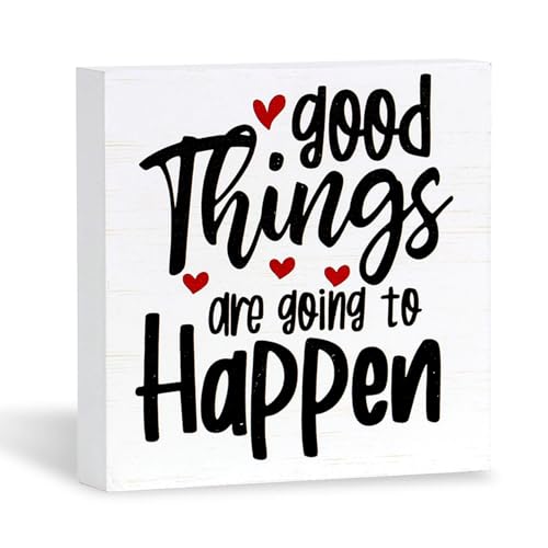Double-Sided Wooden Box Sign, But Did You Document It Office Decor 2-in-1 Sayings Wood Block Signs, 5x5 Inches Reversible Table Centerpiece Decorations for Desk - color: 2-in1