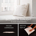 EDOW Luxury Throw Pillow Insert, Soft Fluffy Down Alternative Polyester Square Form Decorative Pillow Insert,Sham Stuffer,Cotton Cover for Sofa, Couch,Bed and Car. (White, 18x18)
