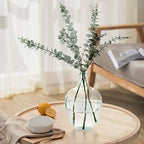 MDLUU Glass Jug Vase 10" Tall, Clear Flower Vase, Decorative Bottle Vase for Dining Room, Bedroom, Bathroom, Mantel - style: without twine rope