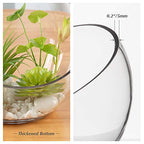 WGV Slant Cut Bowl Glass Vase, Width 9", Height 8.25", Clear Terrarium, Candy Dish, Fruit Jar, Floral Container for Wedding Party Event, Home Office Decor, 1 Piece - size: Slant Bowl 8"H