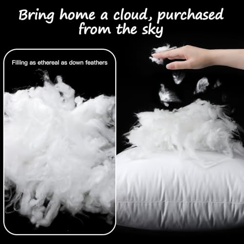 Artscope Synthetic Down Lumbar Pillow Insert, 14x20 Down Alternative Throw Pillow Insert. Ultra Soft Fluffy Sleeping Pillow with 100% Cotton Cover, Decorative Pillows-White. - size: 14x20 Inch (Pack of 1)