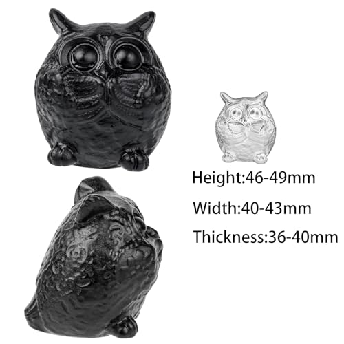 Nupuyai Hand Carved Owl Statue for Home Decor, Natural Black Obsidian Crystal Figurine Stone Sculpture Decoration for Fengshui - style: Owl