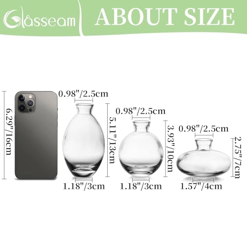 Glasseam Clear Glass Bud Vase, 3Pcs/Set Modern Decorative Small Mini Flowers Vases Short Minimalist Aesthetic Home Decor Vintage Cute Handmade Tiny Wedding Table Centerpieces for Single Flower Rose - color: Clear, size: 1 Set