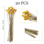 20 Stems Natural Dried Craspedia Billy Balls - 17" Golden Yellow Ball Flowers - Dried Flower Arrangement for Boho Wedding Farmhouse Decor - Vase Centerpiece Filler - DIY Dried Bouquet Home Decor