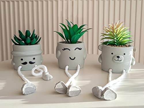 OLEEK Small Fake Plant Office Desk Decor - Desk Plants for Office Decorations for Work - Decorative Plants Decor - Funny Office Decor for Women - Fake Succulents Plants Artificial Home Decor Shelf - size: collection B (set of 3)