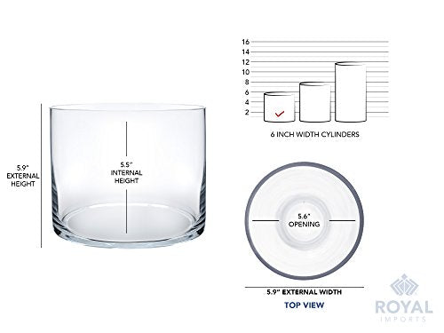 Royal Imports Flower Glass Vase Decorative Centerpiece for Home or Wedding - Cylinder Shape, 6" Tall, 6" Opening, Clear - size: 6" wide x 6" tall