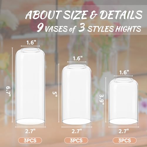 Glass Bud Vases Set of 9 - Clear Flower Vases for Centerpieces, Small Glass Vase Modern Bud Vase for Wedding Party Dining Table Centerpieces, Living Room Decorative, Home Decor - size: 9 Pcs
