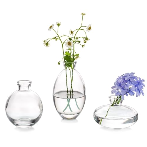 Glasseam Clear Glass Bud Vase, 3Pcs/Set Modern Decorative Small Mini Flowers Vases Short Minimalist Aesthetic Home Decor Vintage Cute Handmade Tiny Wedding Table Centerpieces for Single Flower Rose - color: Clear, size: 1 Set