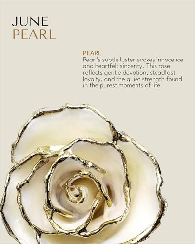 Forever Rose Hand-Dipped in 24K Gold, White Pearl-Inspired June Birthstone, Real Rose in Luxury Gold Gift Box & Clear Glass Bud Vase – Perfect Ready to Gift for June Birthday or Any Occasion - color: June Pearl