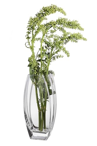 Glass - Vase - Clear - 12.6" Height - Heavy Durable - Made in Europe - by Barski