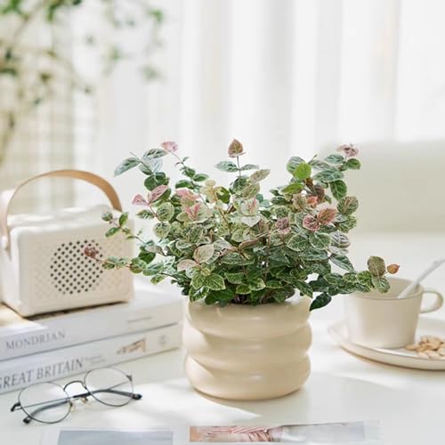 Ceramic Plant Pot Indoor, 4.5 Inch Flower Pot with Drainage Hole, Small Bubble Design Ceramic Planter for Home & Office Decor (Beige) - color: S-beige, size: 4.7inch