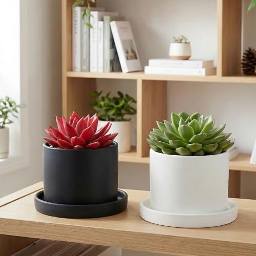 4 Pack Ceramic Plant Saucer Tray 4.72 Inch Round Flower Pot Drip Trays for Indoor Outdoor Plants Succulents