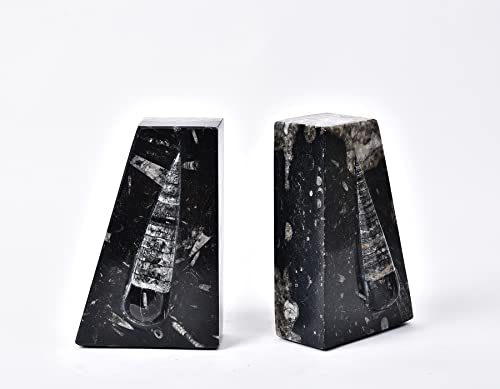 AMOYSTONE 1Pair Heavy Duty Bookend Crystal Quartz Bookends 6-8 LBS Natural Orthoceras Fossil Bookshelf Trapezoid Height 6.2" - color: Black & White B, size: 6-8 Lbs