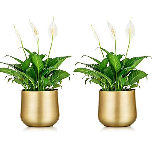 Nuptio 2 Pcs Plant Pot Gold Vase Metal Flower Pot Vase with Drainage Hole, Modern Storage Organizer Decorative Gifts for Wedding Indoor Outdoor Living Room Balcony Decoration Floor Display - color: Style 1#, size: 5.7in Tall-2pcs