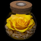 Preserved Real Roses with Colorful Mood Light Wishing Bottle,Eternal Rose，Never Withered Flowers, a Gifts for Women 4.3inch 1pcs (Yellow) - color: Yellow