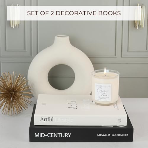 Aesthetic Decorative Books - Set of 2 Stylish Boxes Enhance Your Coffee Table, Bookshelf or Mantel Decor - Beautiful Fake/Faux Books for Modern Home Decoration, Photo Storage and as a Keepsake Box - color: Black-Beige