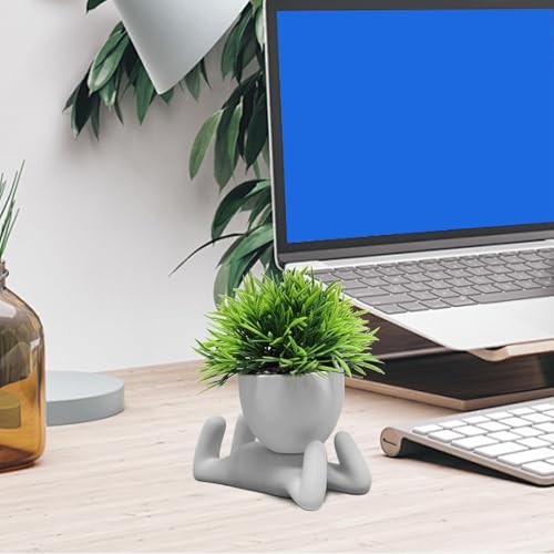 Zerzsy Faux Succulents in Cement Pots Potted Mini Fake Plants for Desk Decoration, Kitchen Shelf Decor, Office Decor for Women, Bathroom Shelf Plant Decor - Set of 1 - color: Cement Gray-a