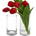 CYS Excel 2 PCS Clear Glass Cylinder Vase (D:5" H:10") | Multiple Size Choices Glass Flower Vase Centerpieces | Hurricane Floating Candle Holder Vase - size: 5" wide x 10" tall