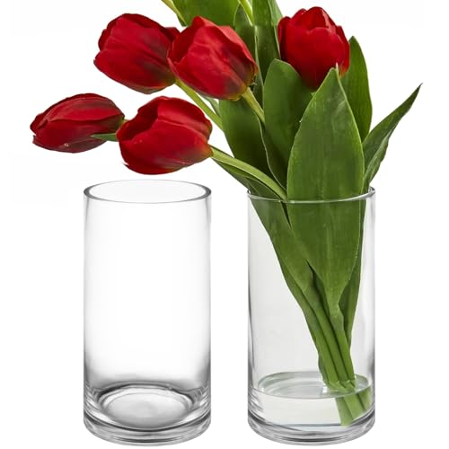 CYS Excel 2 PCS Clear Glass Cylinder Vase (D:5" H:10") | Multiple Size Choices Glass Flower Vase Centerpieces | Hurricane Floating Candle Holder Vase - size: 5" wide x 10" tall