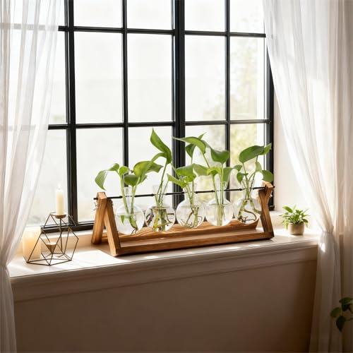 Renmxj Plant Propagation Station, Propagation Vases for Plants, Unique Gardening Birthday Gifts for Women Plant Lovers Mom Best Friend - 5 Bulb Glass Vases - size: 5 Bulb Vase