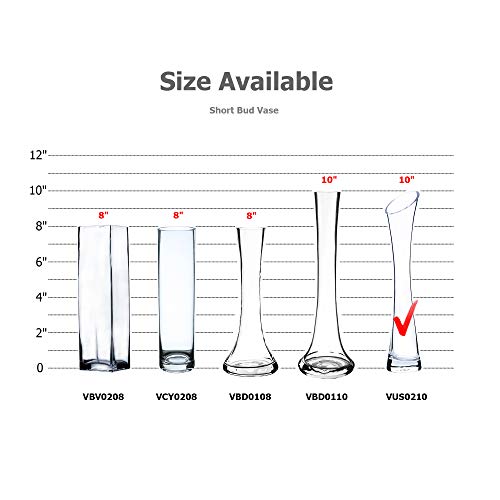 WGV Maria Bud Vase, Width 2", Height 10", Clear Slant Cut Opening Gathering Concaved Glass Floral Container Centerpiece for Wedding Party Event Home Office Decor, 1 Piece - size: 2"x10"H Maria