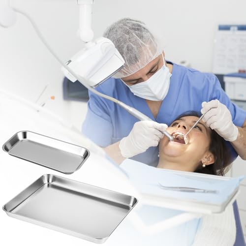 QWORK Stainless Steel Instrument/Tool Organizer Trays, Service Trays (3 x Small Size, 1 x Large Size