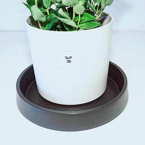 1 Pack Plant Saucer Tray for Ceramic Plastic Pots, 6 inch Plant Saucers for Indoors, Pot Saucers Trays, Flower Planter Water Drip Trays for Pots Base (6", Black) - color: Dark Black, size: 6" (1 Pack)