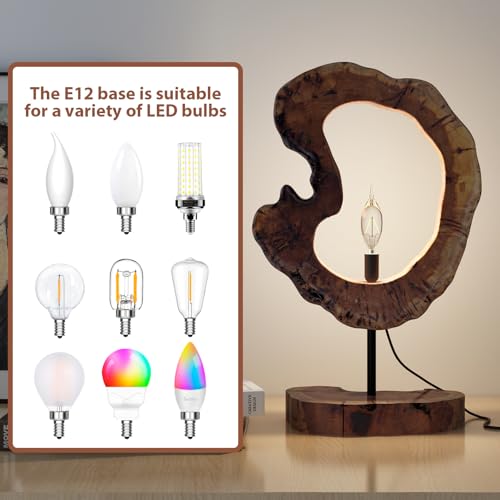 LAPTAIN Wood Table Lamp, Irregular Jujube Tree Wooden Bedside Lamp, Creative Home Decor Table Lamp, Bedside Night Light for Bedroom, Living Room, E12, ON-Off Button,Wood Base - size: Large