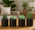 D'vine Dev Set of 4 Small Ceramic Plant Pots, 3.5 Inch Succulent Planter Pot for Plants with Drainage Hole and Saucer, Black, 94-X-A-2 - color: Black, size: 3.5 Inch
