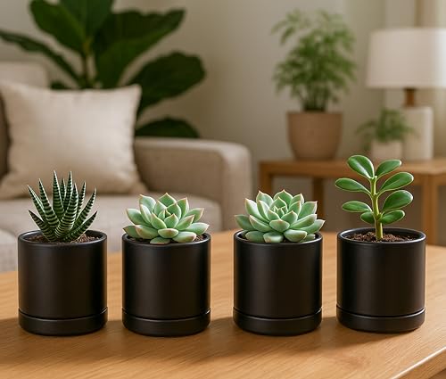 D'vine Dev Set of 4 Small Ceramic Plant Pots, 3.5 Inch Succulent Planter Pot for Plants with Drainage Hole and Saucer, Black, 94-X-A-2 - color: Black, size: 3.5 Inch